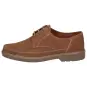 Sioux schoenen heren Penol-XXL  bruin 31304 voor 169,95 <small>CHF</small> 